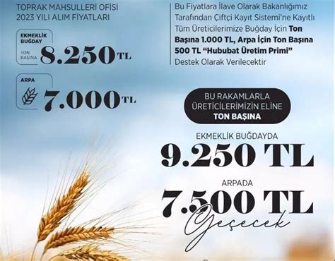 2021 buğday taban fiyatı